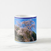 Matabei-Zakura Weeping Cherry Tree Kaffeetasse (Mittel)