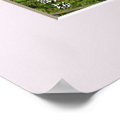 Matabei-Zakura Weeping Cherry Tree Poster (Ecke)