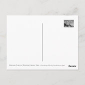 Matabei-Zakura: Weeping Cherry Tree Postkarte (Rückseite)