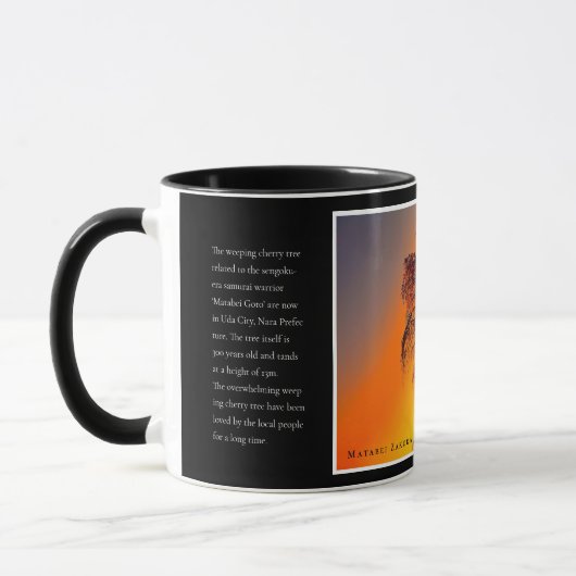 Matabei-Zakura Weeping Cherry Tree Tasse (Links)