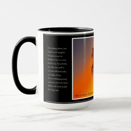 Matabei-Zakura Weeping Cherry Tree Tasse (Links)