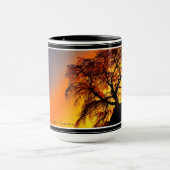 Matabei-Zakura Weeping Cherry Tree Tasse (Zentrum)