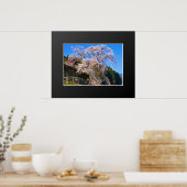 Matabei-Zakura weinend Kirschbaum Poster (Küche)