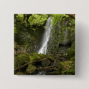 Matai Falls, Catlins, South Otago Button