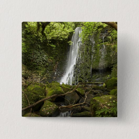 Matai Falls, Catlins, South Otago Button (Vorderseite)