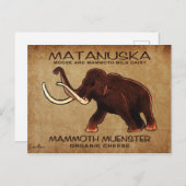 Matanuska Mammoth Münster Cheese Postkarte (Vorne/Hinten)