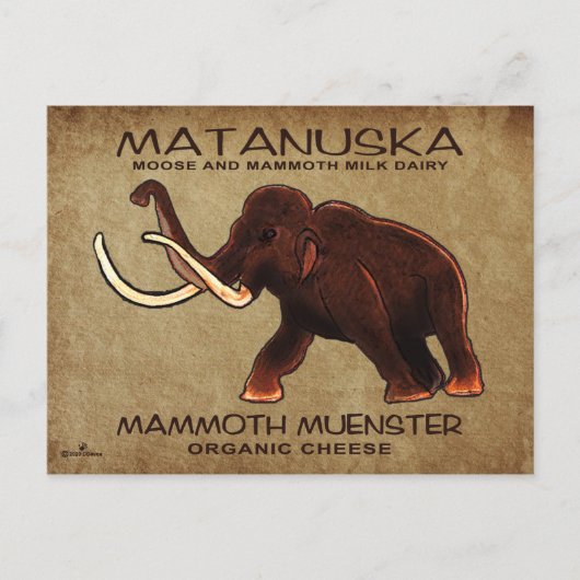 Matanuska Mammoth Münster Cheese Postkarte (Vorderseite)