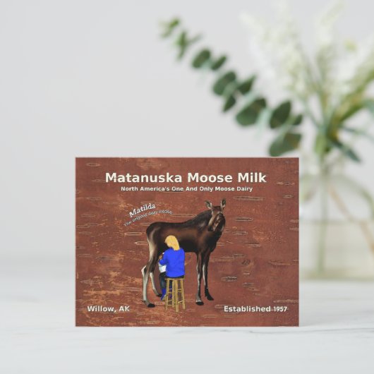 Matanuska Moose Milk Postkarte (Stehend Vorderseite)