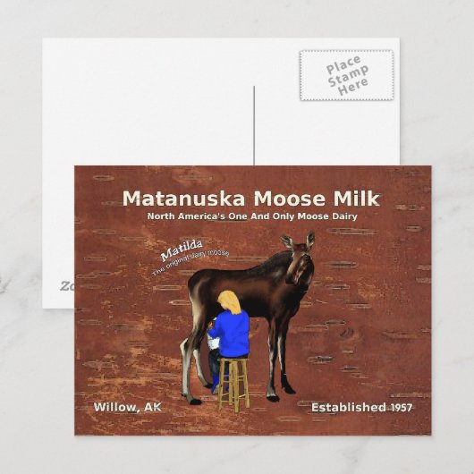 Matanuska Moose Milk Postkarte (Vorne/Hinten)