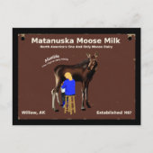 Matanuska Moose Milk Postkarte (Vorderseite)