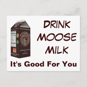 Matanuska Moose Milk Postkarte