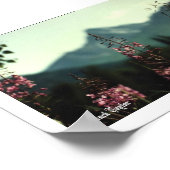 Matanuska Peak und Fireweed #01, (C) Jack Taylo... Poster (Ecke)