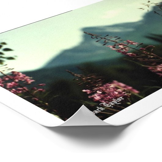 Matanuska Peak und Fireweed #01, (C) Jack Taylo... Poster (Ecke)