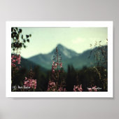 Matanuska Peak und Fireweed #01, (C) Jack Taylo... Poster (Vorne)