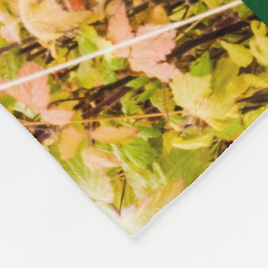 Matanuska-Tal, Südzentralalaska Fleecedecke (Ecke)