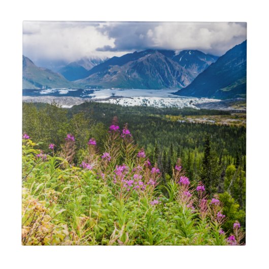 Matanuska-Tal, Südzentralalaska Fliese (Vorderseite)