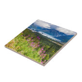 Matanuska-Tal, Südzentralalaska Fliese (Seite)