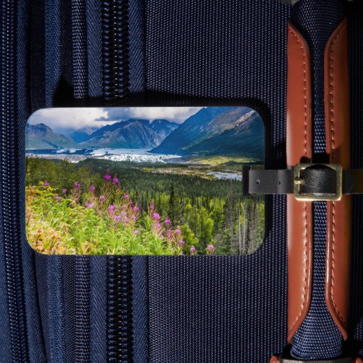 Matanuska-Tal, Südzentralalaska Gepäckanhänger (Vorderseite Insitu 4)