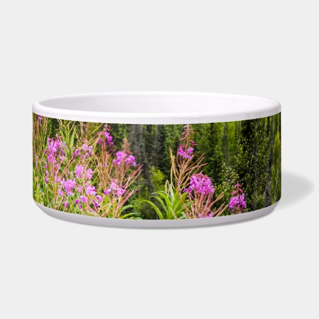 Matanuska-Tal, Südzentralalaska Napf (Vorderseite)