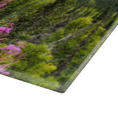 Matanuska-Tal, Südzentralalaska Schneidebrett (Ecke)