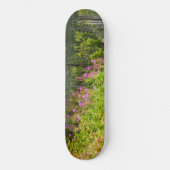 Matanuska-Tal, Südzentralalaska Skateboard (Vorderseite)