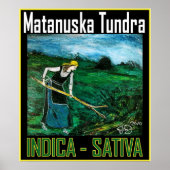 MATANUSKA TUNDRA INDICA SATIVA POSTER (Vorne)