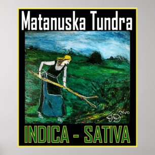 MATANUSKA TUNDRA INDICA SATIVA POSTER