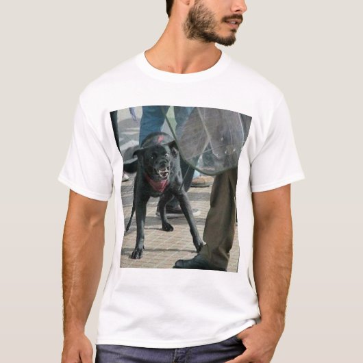 Matapacos T-Shirt (Vorderseite)