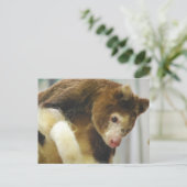 Matchies Tree Kangaroo Postcard Postkarte (Stehend Vorderseite)