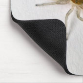 Matching Items der braunen männlichen Springspinne Mousepad (Ecke)