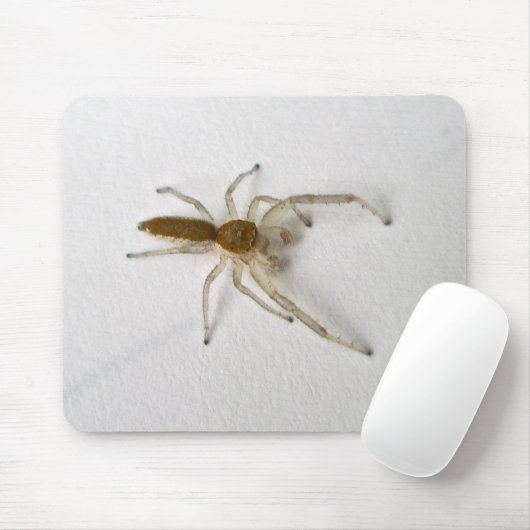 Matching Items der braunen männlichen Springspinne Mousepad (Mit Mouse)