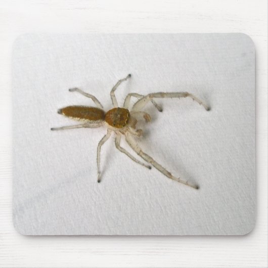 Matching Items der braunen männlichen Springspinne Mousepad (Vorne)