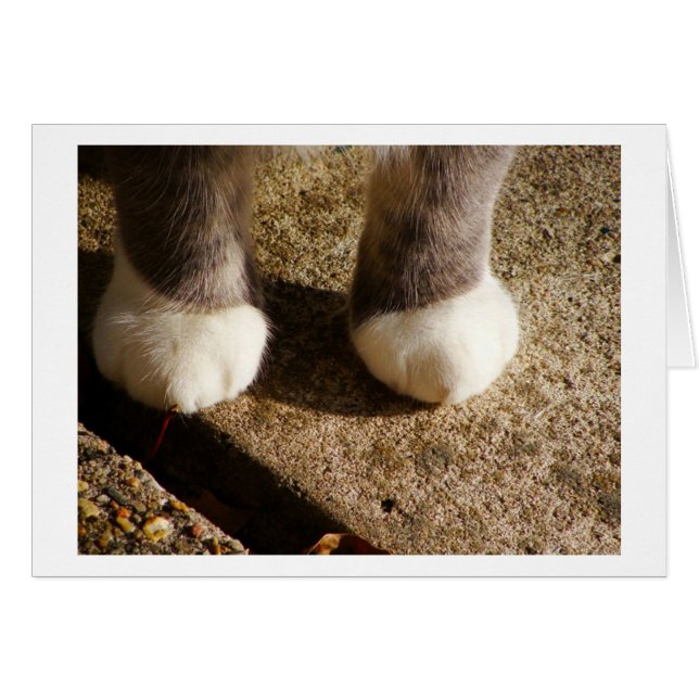Matching Socks (Vorderseite (Horizontal))