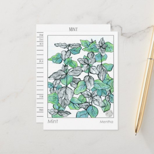 Materia Medica Mint Tea Pflanze Kräuterstudienkart Postkarte (Vorderseite/Rückseite Beispiel)