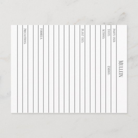 Materia Medica Mullein Medicinal Herb Stub Card Postkarte (Rückseite)