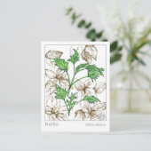 Materia Medica Nettle Medicinal Pflanze Herb Studi Postkarte (Stehend Vorderseite)