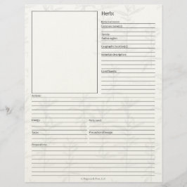 Materia Medica Pflanze Kräuterforschung Seite Leer