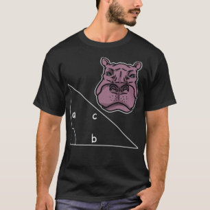 Math Formeln Mathematics Algebra Gift cooler Fahre T-Shirt