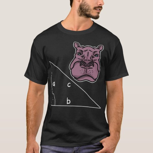 Math Formeln Mathematics Algebra Gift cooler Fahre T-Shirt (Vorderseite)