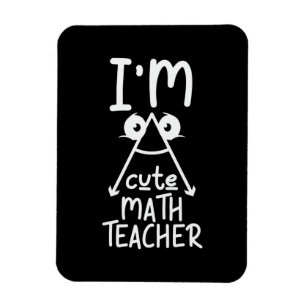 Mathe Teacher I Bin Mathe Teacher Magnet