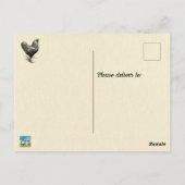 Mathemachicken Funny Math Chicken Pun Joke Postkarte (Rückseite)