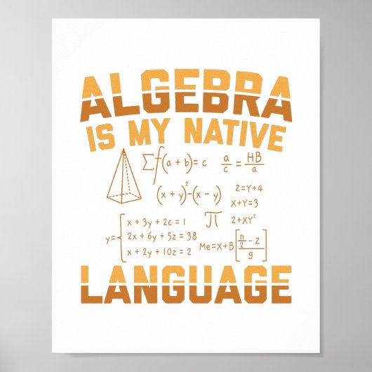 Mathematik Algebra | Mathematiker Lehrergeschenke Poster (Vorne)