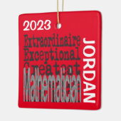 Mathematiker Extraordinaire CUSTOM Keramikornament (Links)