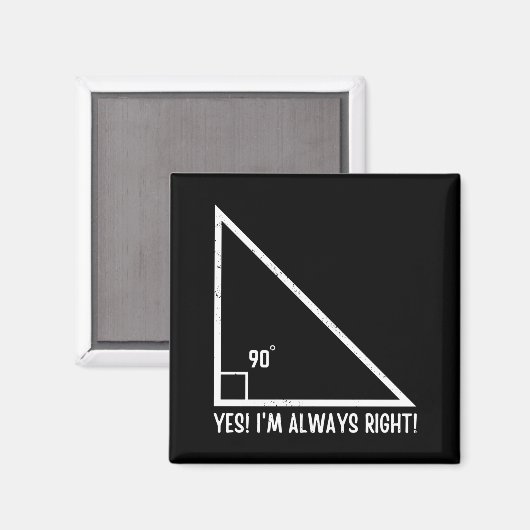 Mathematiker Funny Magnet (Vorderseite/Rückseite)