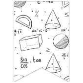 Mathematikklasse | Minimalistische Schwarz-Weiß-De Wimpelkette (Zweite Fahne)