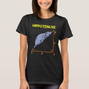 Mathematiklehrer Hippotenuse 1 T-Shirt