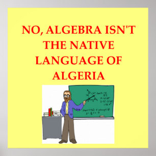 Mathematikwitz Poster
