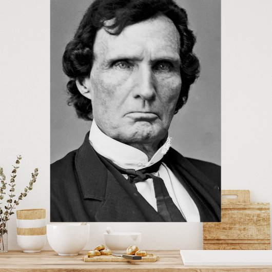 Mathew Brady / Thaddeus Stevens / Poster (Küche)