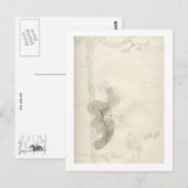 Matilda der herrliche Vogel des Paradieses Postkarte (Vorne/Hinten)