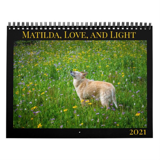 Matilda, Liebe und Light 2021 Kalender (Titelbild)